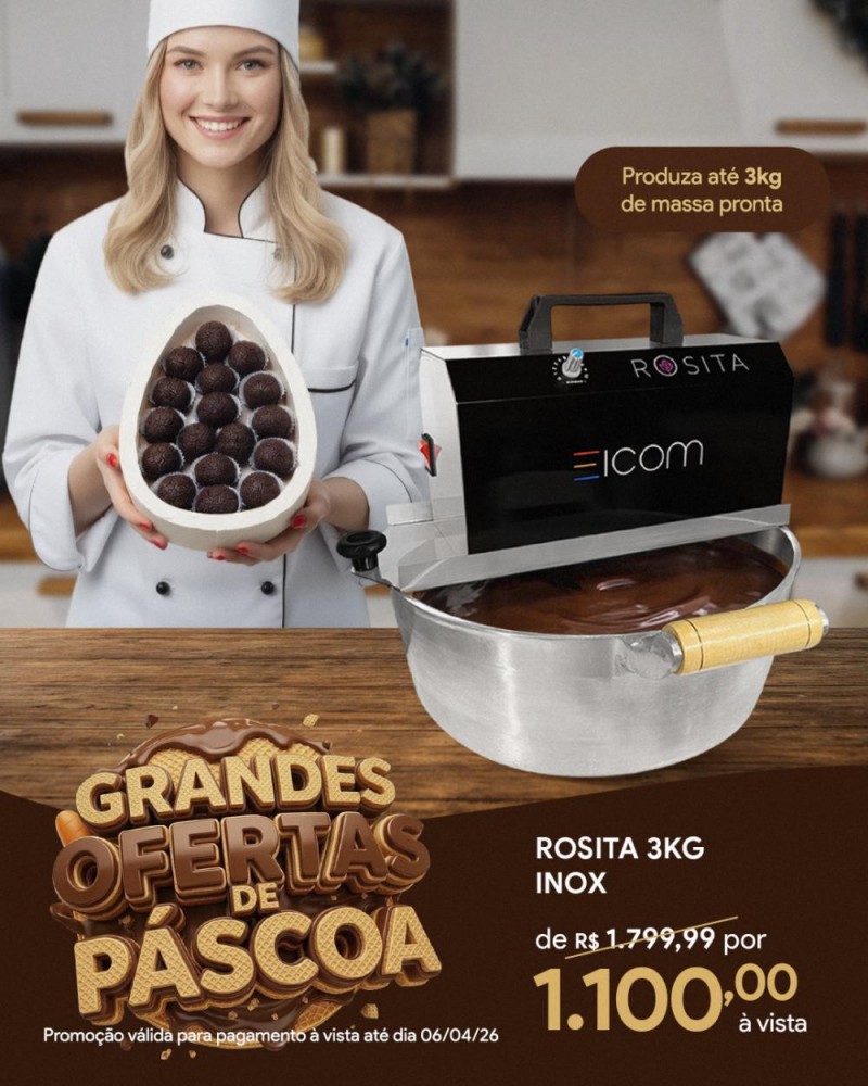 Panela Elétrica Rosita 3kg Inox